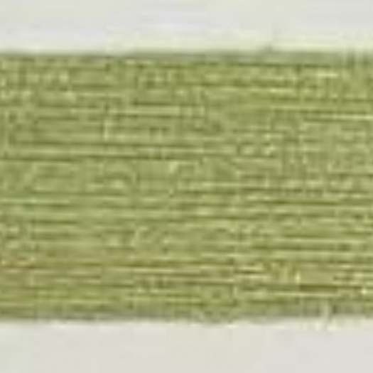 Silky Cotton, 100% мерсеризованный хлопок, 600м/100гр, Спаржа 818